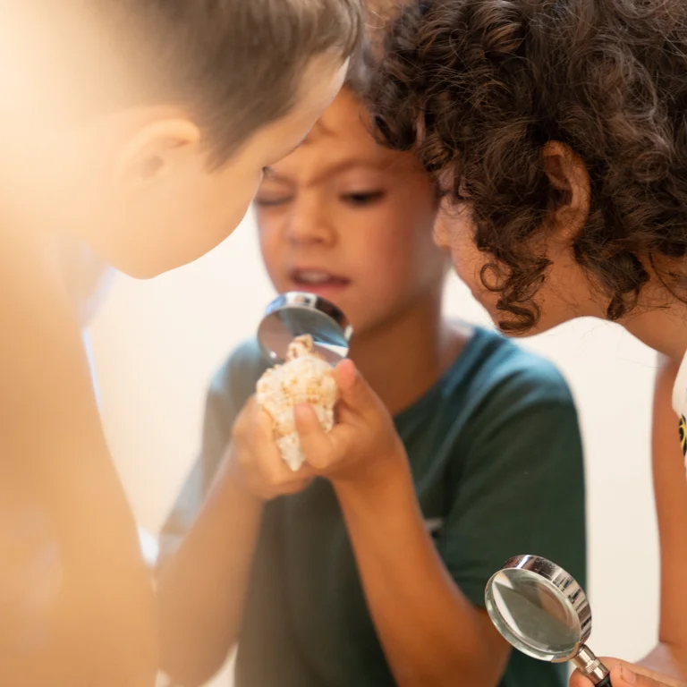 Bambini che osservano le chiocciole